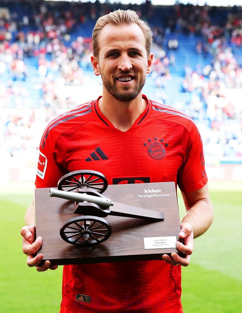 最新世界杯德国凯恩晋级分析全面分析